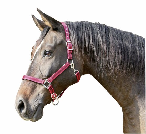 Kerbl Mustang Head Collar