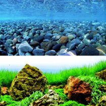 Wave Double Background Vision Blister, 60 X 150 cm