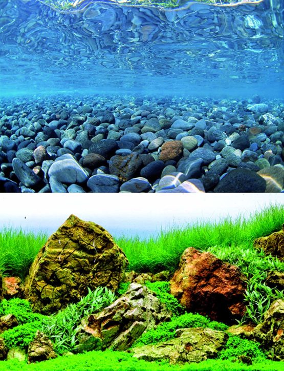 Wave Double Background Vision Blister, 60 X 150 cm
