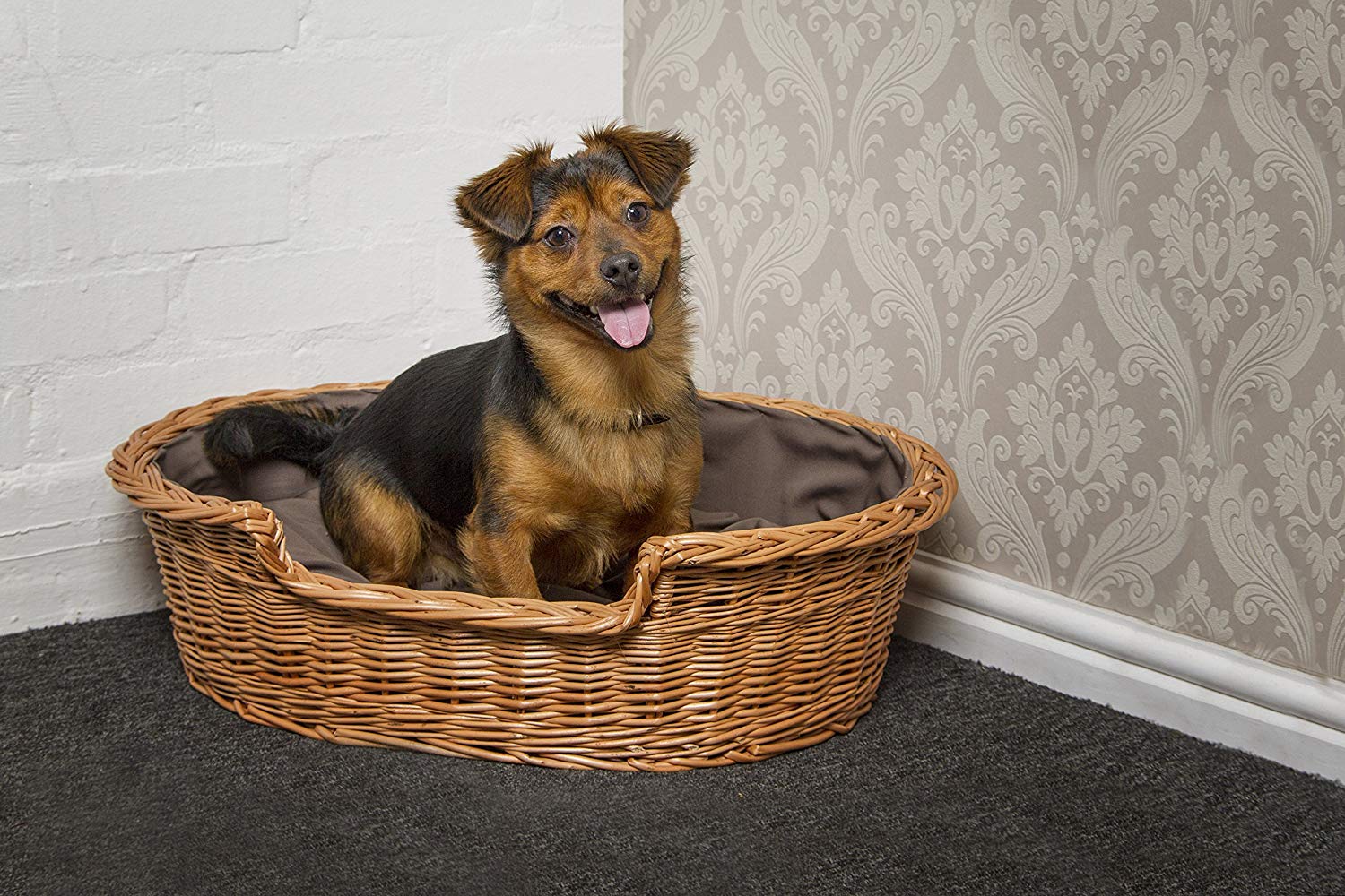 Prestige Wicker Wicker Dog Bed Basket with Cushion, Medium, Dark, Dark Brown, 75 x 60 x 19 cm (L x W x H) - Image 3