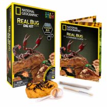 National Geographic NGBUG Real Bug Dig Kit