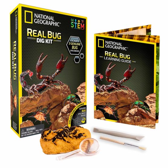 National Geographic NGBUG Real Bug Dig Kit
