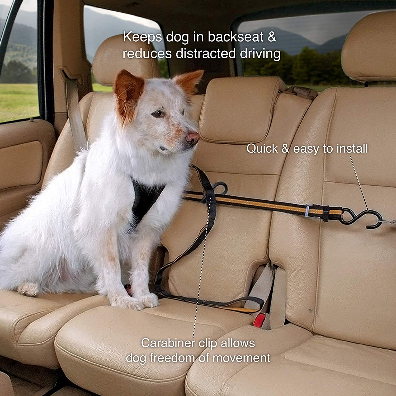Kurgo Auto ZipLine for Dogs Dog Safety Restraint for Car Boat or Campsite, Quick & Easy Installation, Adjustable Length, Black/Orange - Image 2