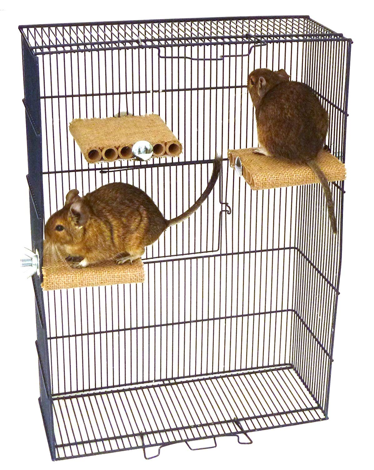 Totally Degu Shelf Refill for Small Pet Cages, Single Pack Replacement Platform for Degu Rat, Gerbil, and Hamster - Image 2