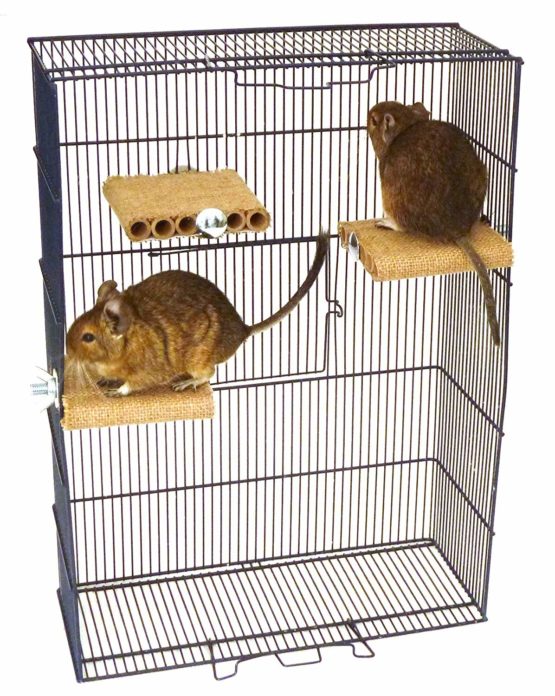 Degu Shelf - Three Pack - Image 2