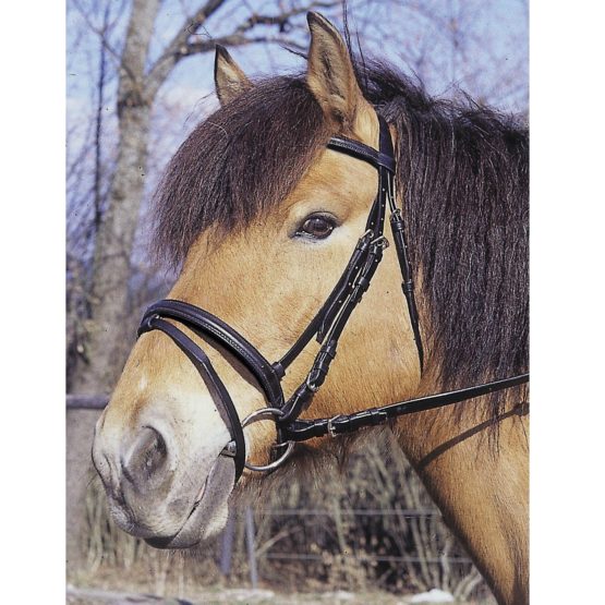 KERBL Standard bridle - Image 3
