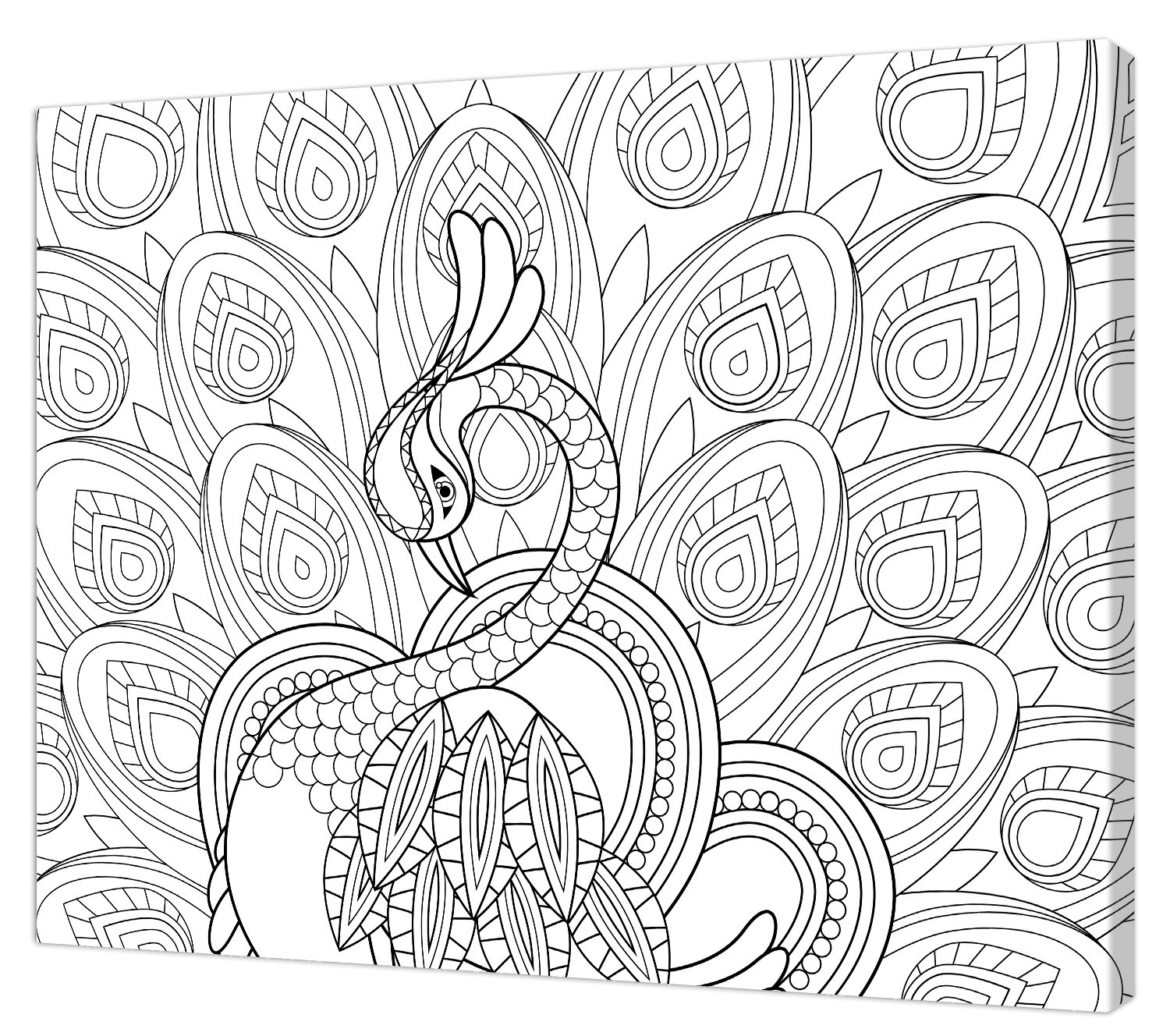 Pintcolor 7807.0 Frame with Printed Canvas for Coloring Fir Wood, Cotton, White/Black, 40 x 50 x 3.5 cm, 100% Made in Italy
