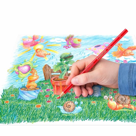 Noris Club 19.6 x 9.6 x 1 cm Erasable Colouring Pencils 144 50NC12, Assorted, Pack 12 - Image 4