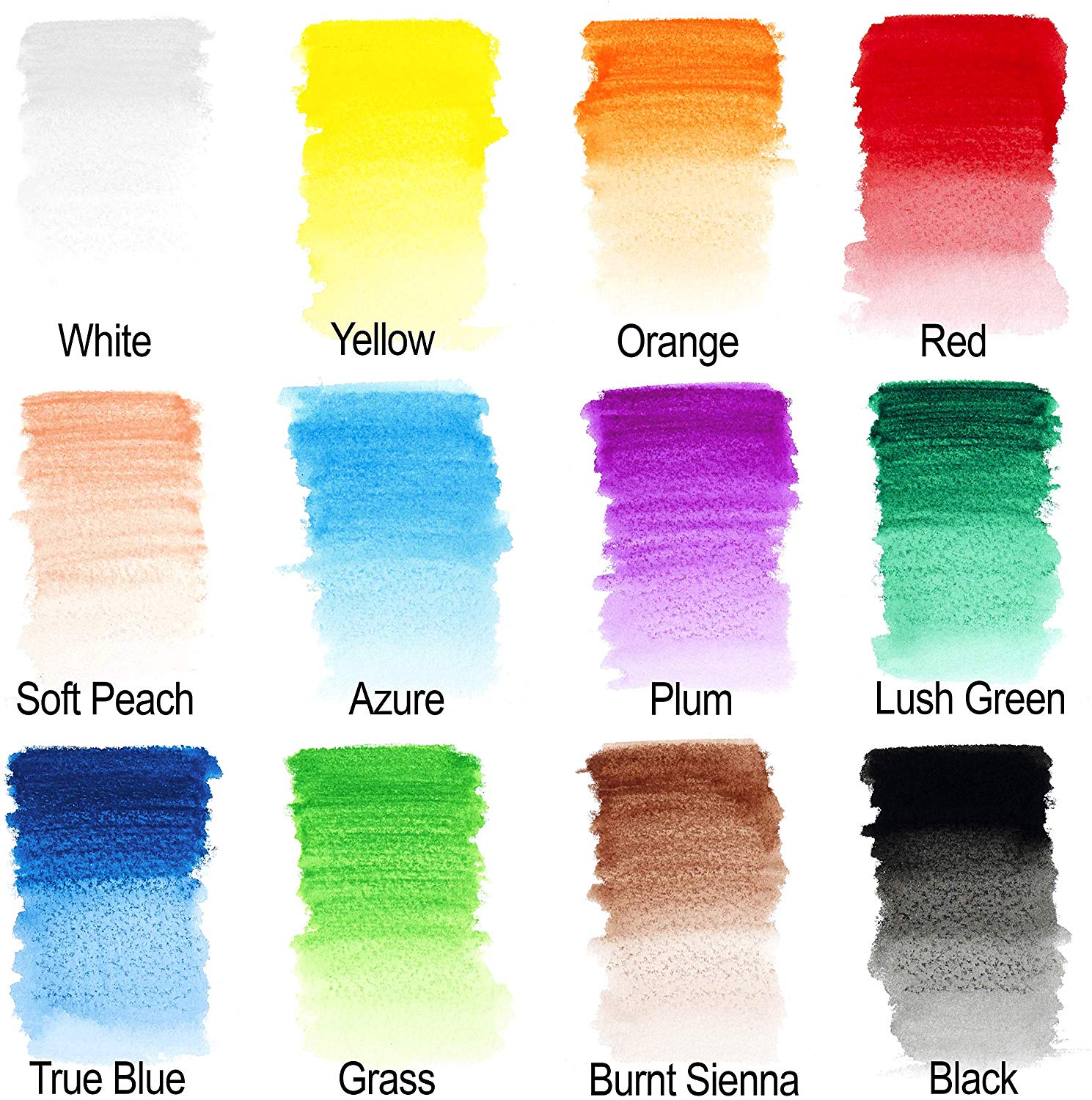 Winsor & Newton Studio Collection Water Colour Pencils - Set of 12, Assorted, 884955065013, 1 count (Pack of 12) - Image 4