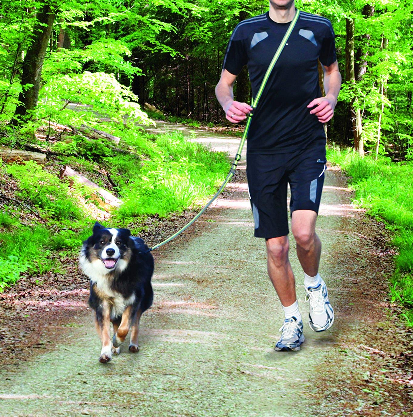 TRIXIE jogging leash 1,33-1,80 m length, for hanging or with hand loop, with shock absorber, infinitely adjustable - Image 4