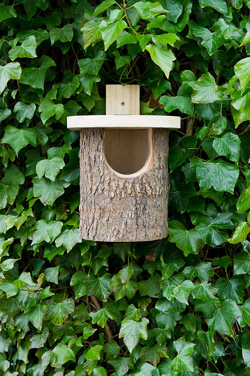 Wildlife World N8 Natural Log Robin Nest Box Bird Home Birdhouse, silver - Image 3