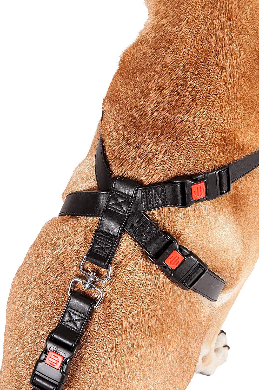 Karlie Flamingo Safety Harness, Small/Medium, Black - Image 2