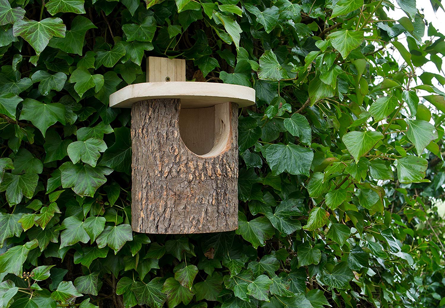 Wildlife World N8 Natural Log Robin Nest Box Bird Home Birdhouse, silver - Image 2