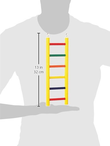 Prevue Pet Products BPV01135 Carpenter Creations Hardwood Bird Ladder with 6 Rungs, 12-Inch, Colors Vary, Assorted, 6-Rungs - Image 2
