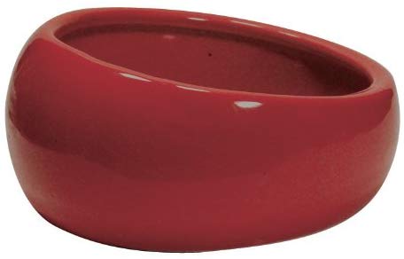 Living World Ergonomic Dish, Terracotta, Large - Image 3