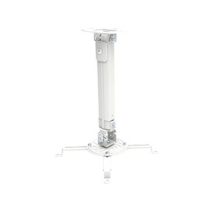 TECHLY ica-pm 18S Flat Screen Mount for Office