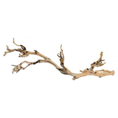 Exo Terra Forest Branch, Large (Exact Size May Vary), Natural - Image 2