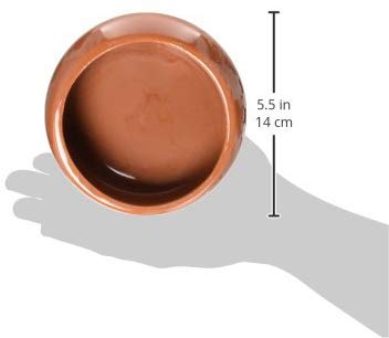 Living World Ergonomic Dish, Terracotta, Large - Image 4