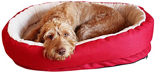 Rosewood Red Orthopaedic Dog Bed, 60 x 80cm, 70 x 85 x 16 cm (L x W x H)