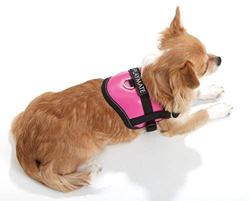 Karlie Teeny Weeny Harnesses, 26 to 35 cm, X-Small, Black/White, Klein - Image 3