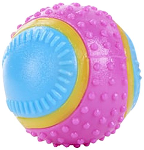 Sharples Five Senses Rubber Ball, Small,all breeds, Multicoloured