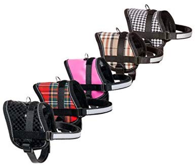 Karlie Teeny Weeny Harnesses, 26 to 35 cm, X-Small, Black/White, Klein - Image 2