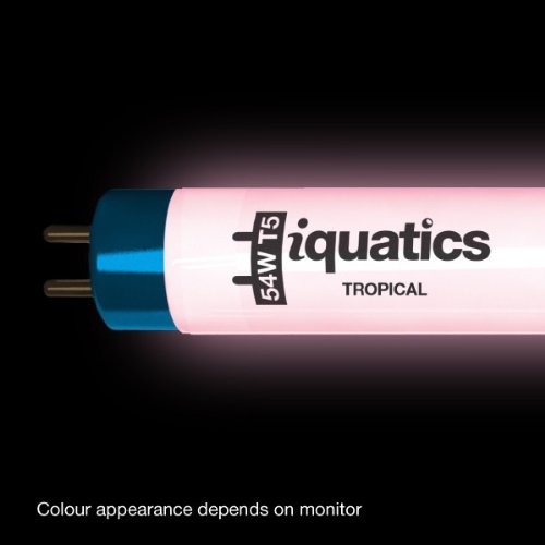 iQuatics Juwel Compatible Aquarium Fluorescent Light Bulb T5 (3 Pack), Tropical, 54w 1200mm 48” - Image 2