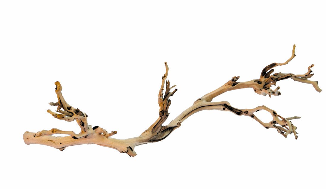 Exo Terra Forest Branch, Large (Exact Size May Vary), Natural
