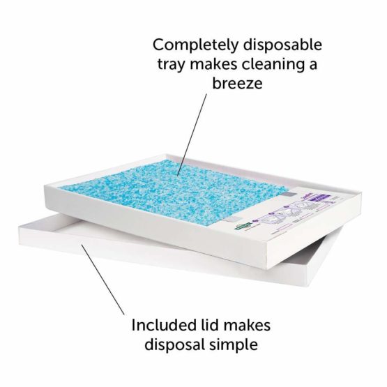 PetSafe ScoopFree Replacement Crystal Cat Litter Tray, Self-Cleaning Automatic Cat Litter Box Tray Refills - Dust Free Non-Clumping, Odour Control (3-Pack) - Image 2