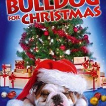 Bulldog For Christmas [DVD]