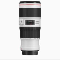 Canon EF 70-200mm f4L IS II USM ,light grey
