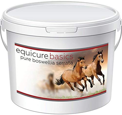 Equicure Boswellia Serrata Powder For Horse/Pony (1KG), 1 kg (Pack of 1)