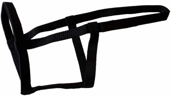 Rhinegold (Metal Free) Field Safe Headcollar