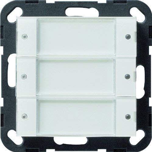 Gira System 55 2003100 Push Button Sensor 2 3-Way 24 V Clear/Pure White