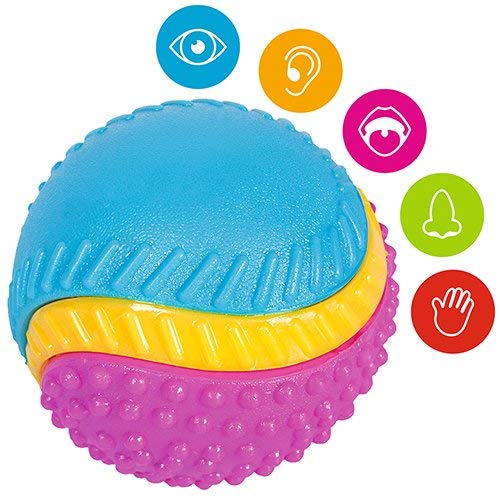 Sharples Beef Scented Five Senses rubber ball for dogs medium, multicoloured - Image 2