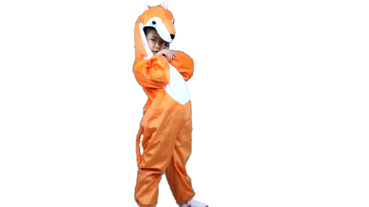 Matissa Kids Animal costumes Boys Girls Pijamas Fancy Dress outfit Cosplay Children (Fox, L (For kids 105-120 cm tall))