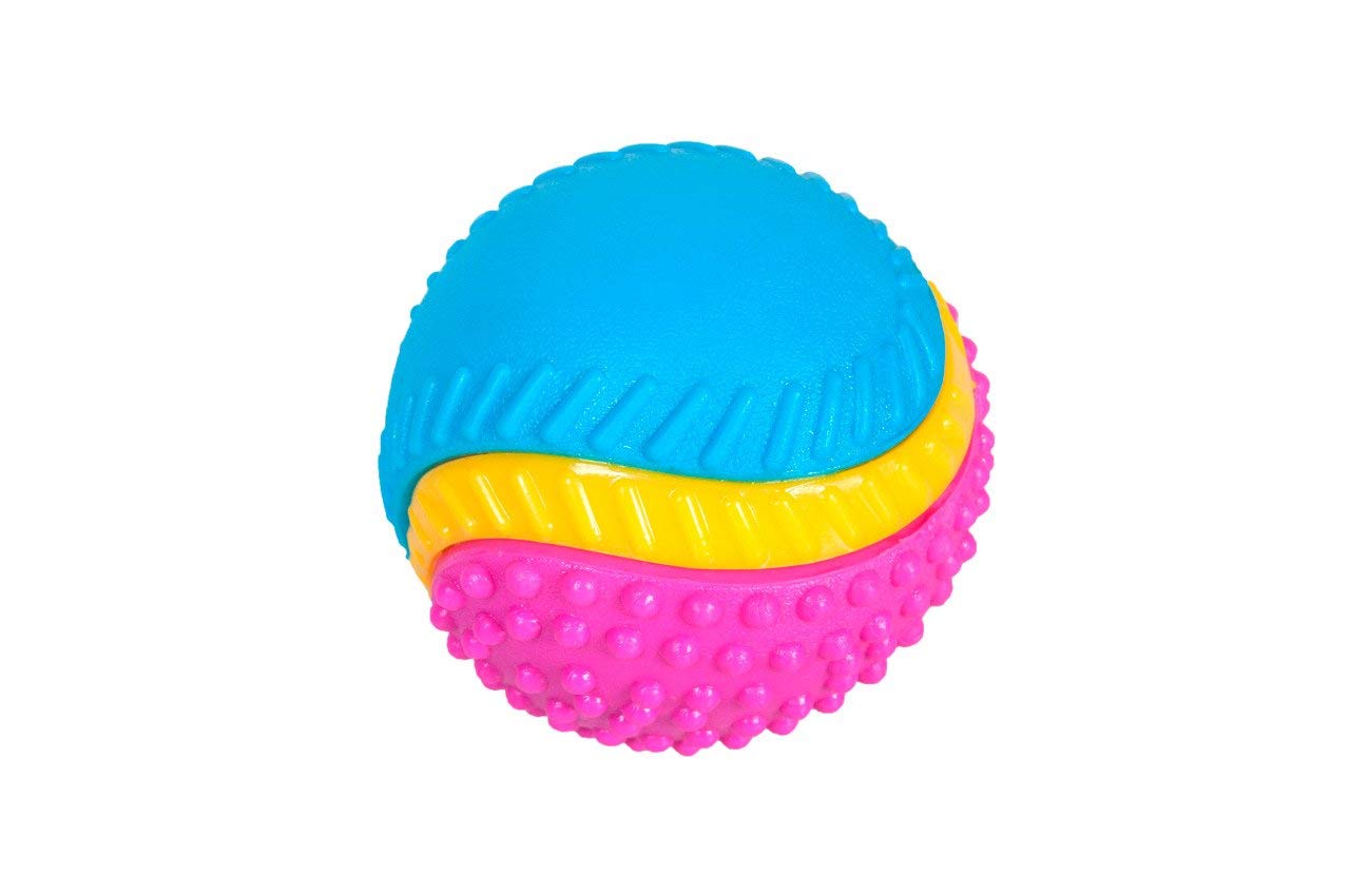 Sharples Beef Scented Five Senses rubber ball for dogs medium, multicoloured