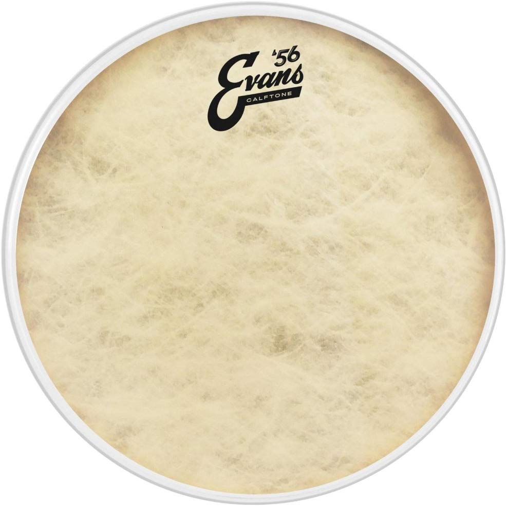 Evans Drum Heads - Calftone Tom Drumhead, 13 Inch, White