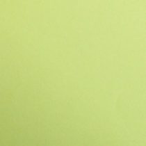 Clairefontaine Maya Coloured Smooth Drawing Paper, 270 g, A4 - Moss Green, Pack of 25 Sheets