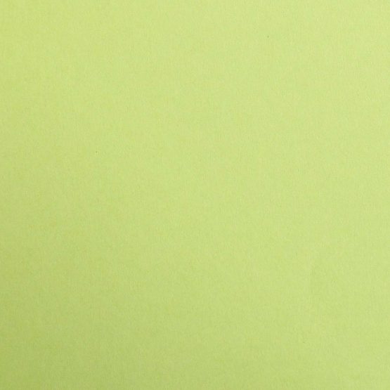 Clairefontaine Maya Coloured Smooth Drawing Paper, 270 g, A4 - Moss Green, Pack of 25 Sheets