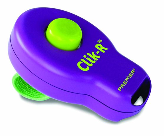 PetSafe Clik-R Training Tool, Obedience Aid, Clicker for Dogs
