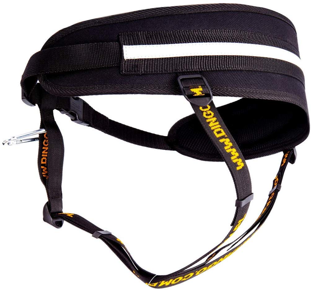 DINGO Canicross Belt 4-in-1 Universal, Adjustable, Safe, Reflective, Multifunctional - Image 3