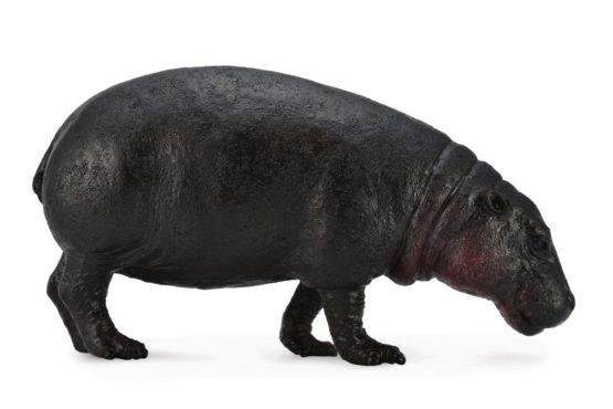 CollectA Pygmy Hippopotamus