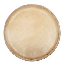 PURE GEWA Club Salsa F847251 Conga Head, 11-Inch