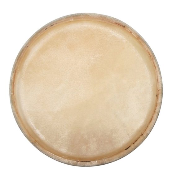 PURE GEWA Club Salsa F847251 Conga Head, 11-Inch
