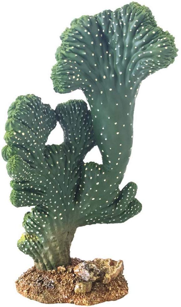 Hobby Victoria 2 37020 Cactus Figurine Height 22 cm, Green, Victoria 2, 17 cm