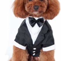 Keysui Black Dog Tuxedo Suit Puppy Wedding Clothes Coat Doggie Costume Large Size