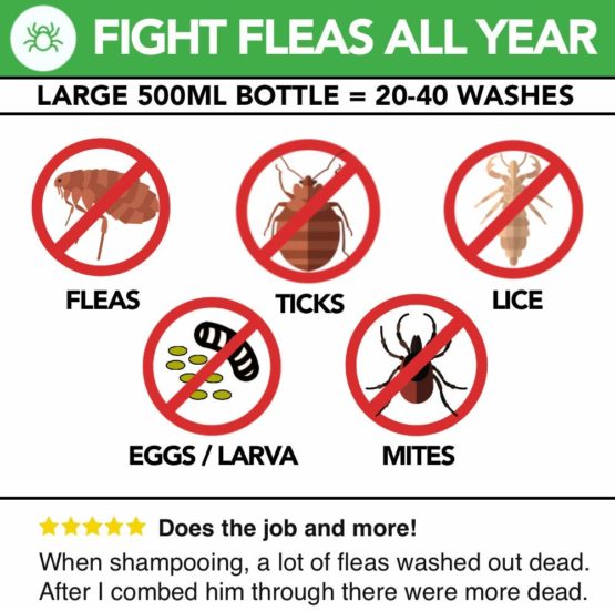 All Natural Flea Shampoo for Dogs & Cats - The Healthy Dog Co - Tick & Lice Shampoo - Pet Shampoo Flea - Lemongrass - 500ml - Image 3