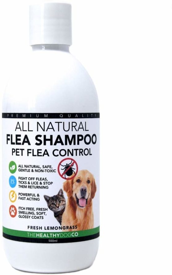 All Natural Flea Shampoo for Dogs & Cats - The Healthy Dog Co - Tick & Lice Shampoo - Pet Shampoo Flea - Lemongrass - 500ml