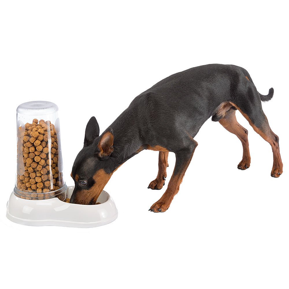 Ferplast Food or water dispenser for dogs and cats AZIMUT 600 Pet dispenser Dry food feeder Water Feeder 0,6 Liter - Image 2